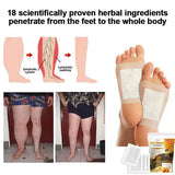Bee Venom Foot Patches (Set of 10 Patches)