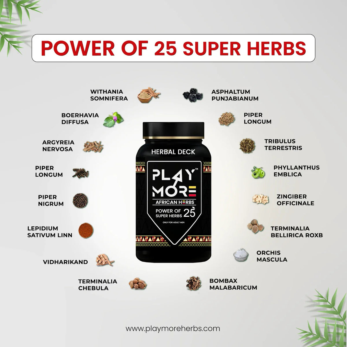 Herbal Deck Immunity Booster Powder for Men, Herbal Enerygy & Stamina Supplements (150 g)